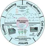 莫德里奇至今英超出牌最多球迷热议的简单介绍|凯旋捕鱼